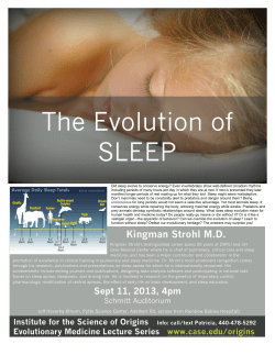 The Evolution of SLEEP