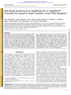 Salt Bridge Switching from Arg290/Glu167 to Arg290/ATP Promotes