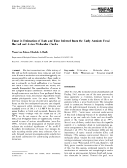 Error in Estimation of Rate and Time Inferre from the Early Amniote