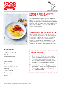 simple cheese omelette