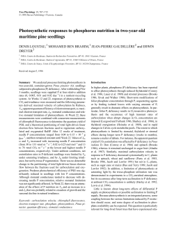 Photosynthetic responses to phosphorus nutrition in two-year