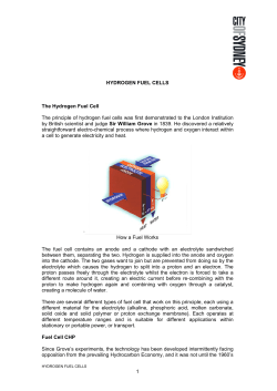 1 HYDROGEN FUEL CELLS The Hydrogen Fuel Cell The principle