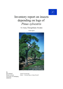 Inventory report on insects depending on logs of Pinus sylvestris