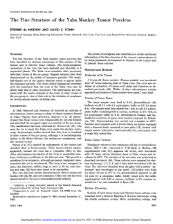 The Fine Structure of the Yaba Monkey Tumor