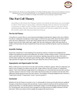 The Fat Cell Theory - Challenge Preparatory Charter School