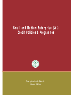Small and Medium Enterprise (SME) Credit