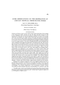 Some Observations on the Respiration of Certain Tropical Fresh