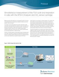 Simultaneous measurement of the TCA cycle and