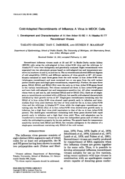 as a PDF