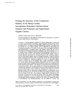 Probing the Structure of the Conduction Pathway of the Sheep