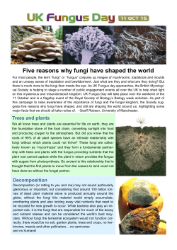 Five reasons why fungi have shaped the world