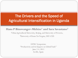 The Drivers and the Speed of Agricultural