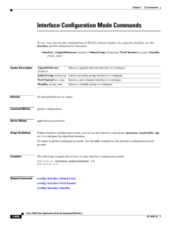 Interface Configuration Mode Commands