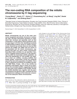 The non-coding RNA composition of the mitotic