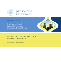 A Study in Political Entrepreneurship