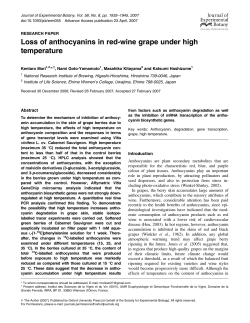 Loss of anthocyanins in red-wine grape under
