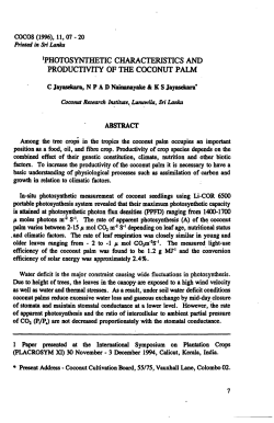 photosynthetic characteristics and productivity of the coconut