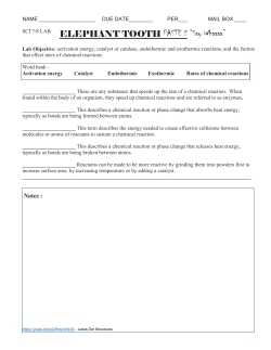 SCI 7/8 LAB ELEPHANT TOOTH PASTE ? “Say Whaaaa”