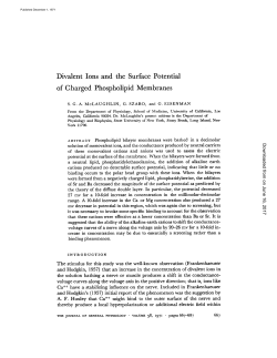Divalent Ions and the Surface Potential of Charged Phospholipid