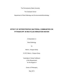EFFECT OF HETEROTROPHIC BACTERIAL COMMUNITIES ON