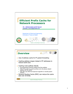Efficient Prefix Cache for Network Processors