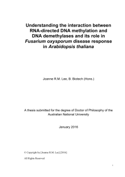 Understanding the interaction between RNA