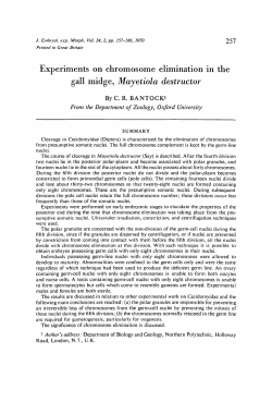 Experiments on chromosome elimination in the gall