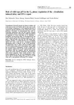 Role of wild type p53 in the G2 phase