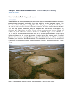 Beringian Dwarf Shrub-Lichen Peatland Plateau Biophysical Setting