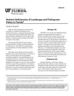Nutrient Deficiencies of Landscape and Field