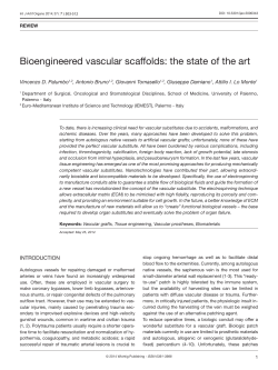 Bioengineered vascular scaffolds: the state of the art