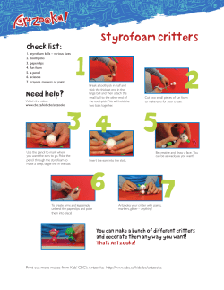 Styrofoam Critters