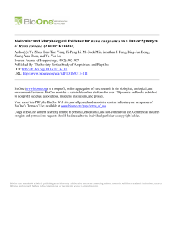 Molecular and Morphological Evidence for Rana kunyuensis as a