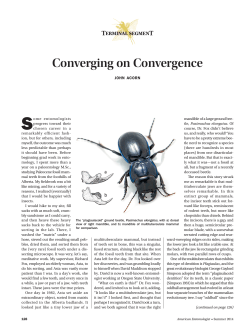 TERMINAL SEGMENT: Converging on