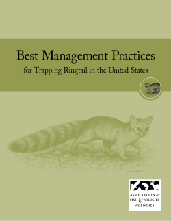 Best Management Practices - Association of Fish and Wildlife