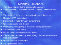 Chapter 12 Notes Cell Cycle