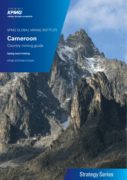 Cameroon Mining Guide