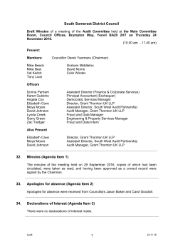 South Somerset District Council 32. Minutes (Agenda Item 1) 33
