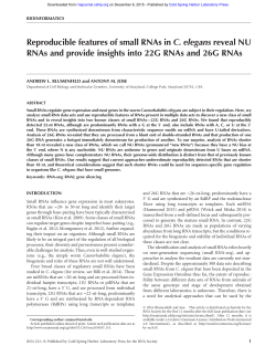 Reproducible features of small RNAs in C. elegans reveal NU RNAs