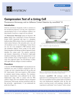 Compression Test of a Living Cell