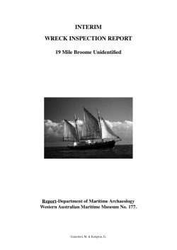 interim wreck inspection report