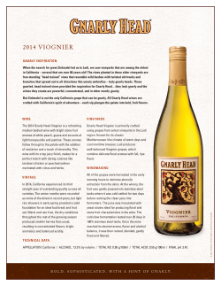 2014 Gnarly Head California Viognier Tasting Note