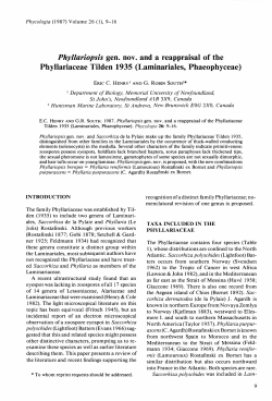 Phyllariopsis gen. nov. and a reappraisal of the