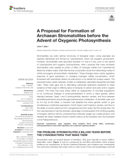 A Proposal for Formation of Archaean Stromatolites before the