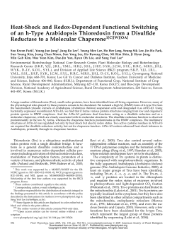 Heat-Shock and Redox-Dependent Functional