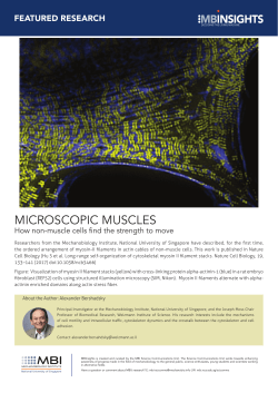 press release. - Mechanobiology Institute