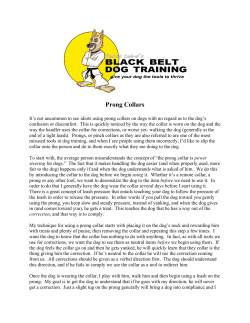 Prong Collars - Black Belt Dog Training