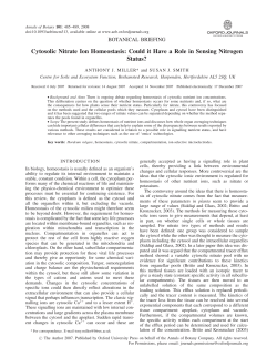 Cytosolic Nitrate Ion Homeostasis: Could it Have