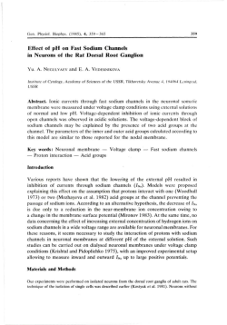 Effect of pH on Fast Sodium Channels in Neurons of the Rat Dorsal