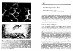 How Self-Organization Works